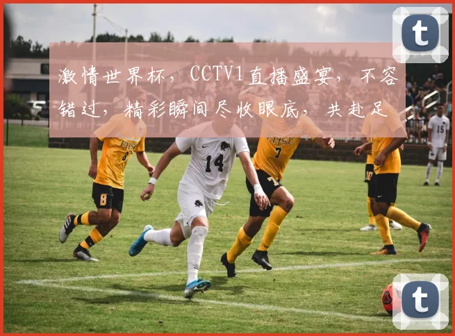 激情世界杯，CCTV1直播盛宴，不容错过，精彩瞬间尽收眼底，共赴足球狂欢之旅