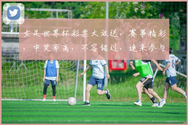 女足世界杯彩票大放送，赛事精彩，中奖率高，不容错过，速来参与