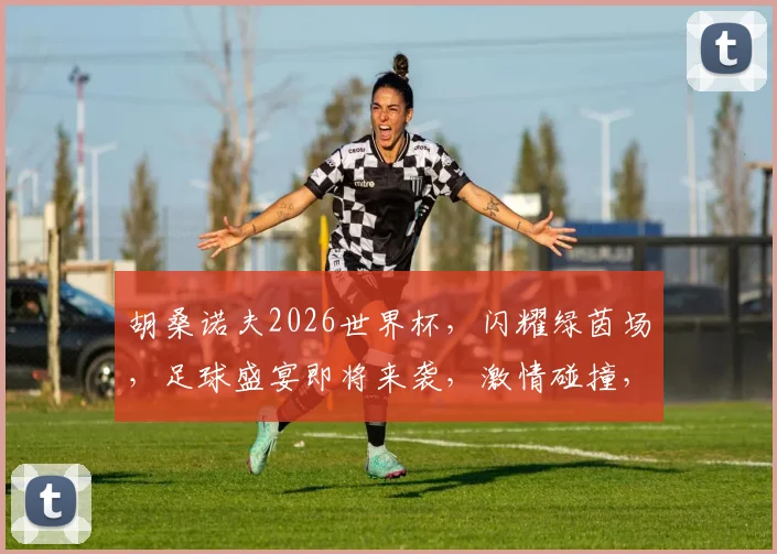 胡桑诺夫2026世界杯，闪耀绿茵场，足球盛宴即将来袭，激情碰撞，谁将问鼎