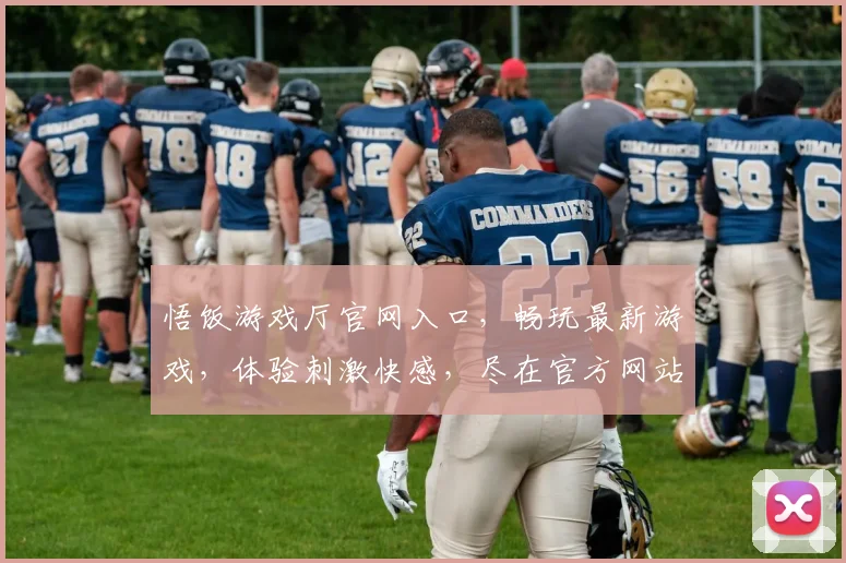 悟饭游戏厅官网入口，畅玩最新游戏，体验刺激快感，尽在官方网站，一触即达